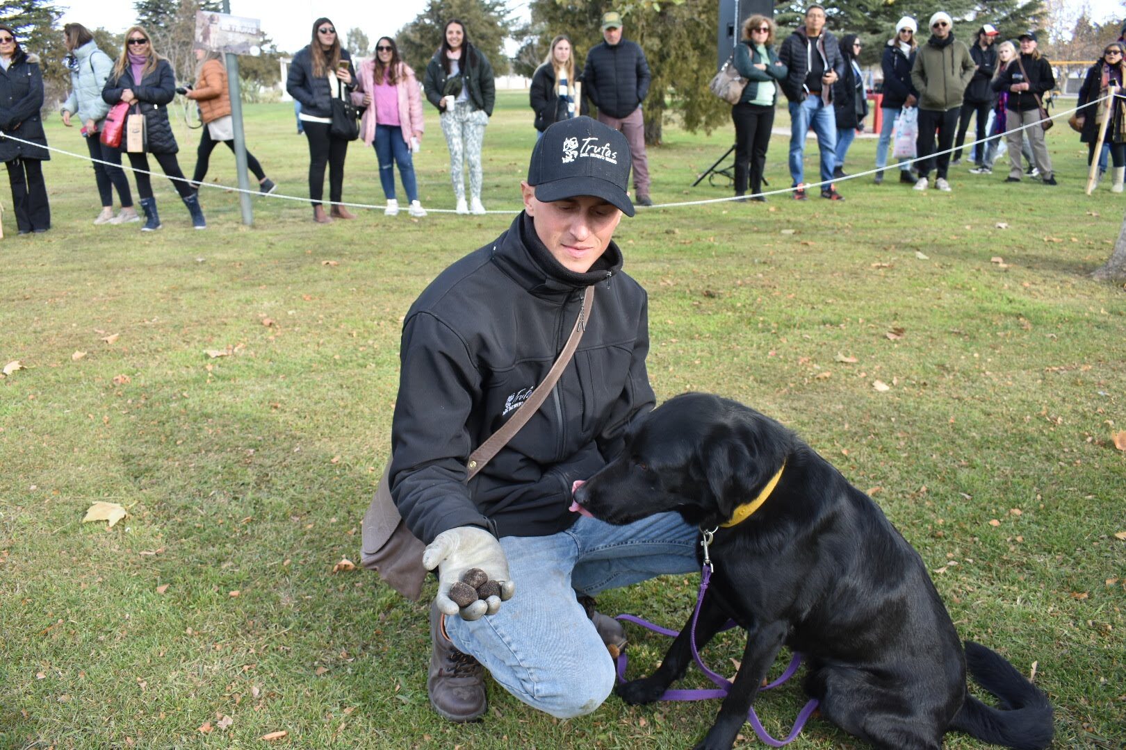 Perro trufero mostrando trufas recolectadas