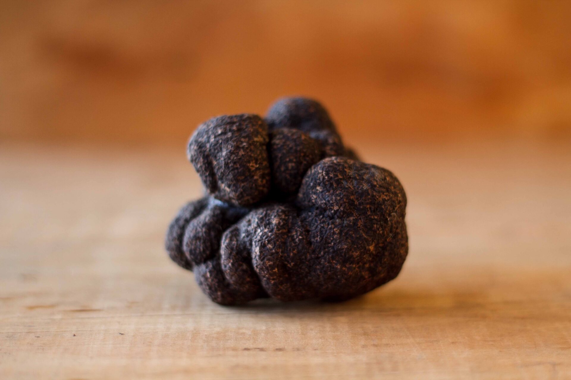 Trufa negra entera