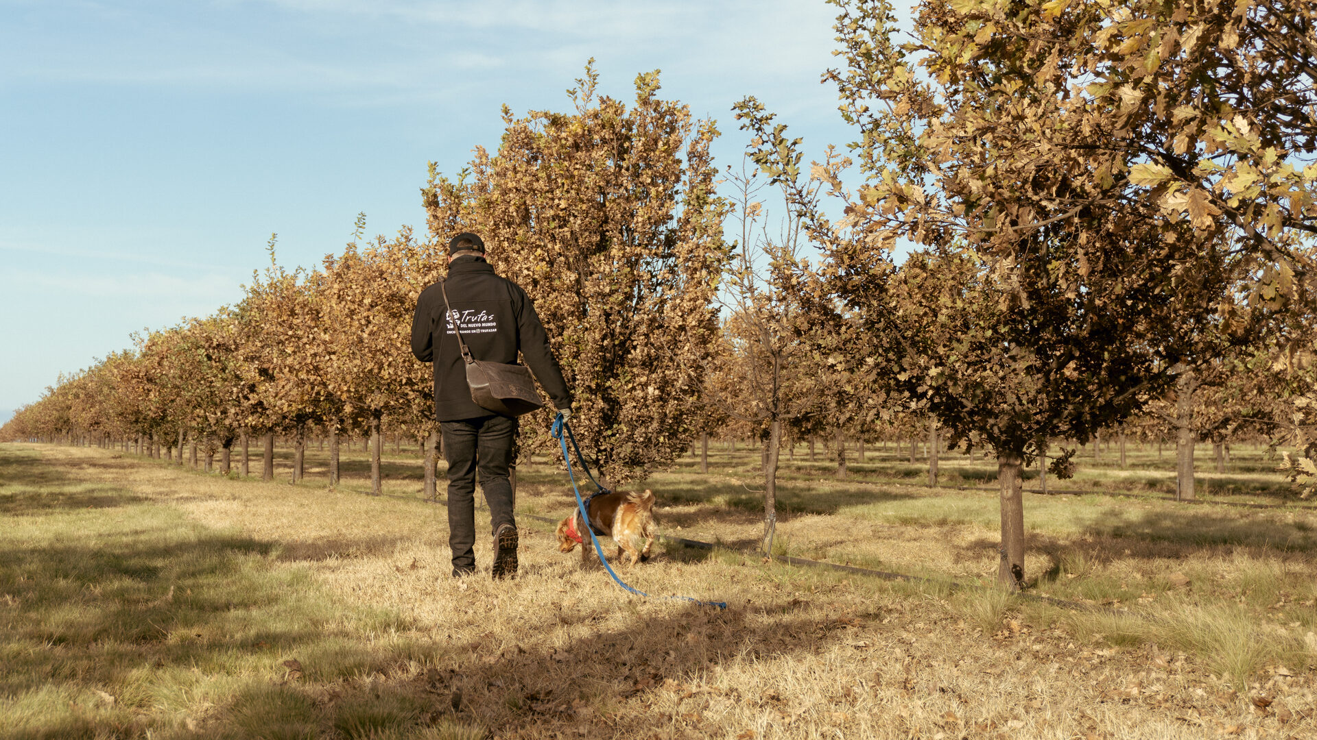 Visita a la trufera con perro trufero